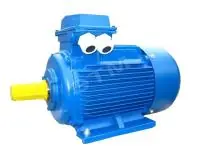 Электродвигатель 18.5/3000 IM1001 - foto